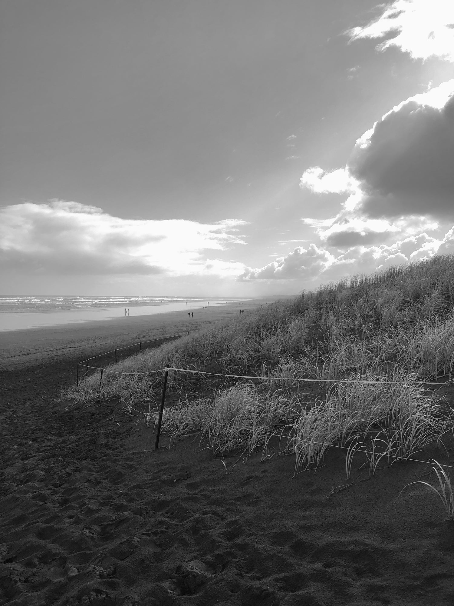 Why I became an Eco Artist